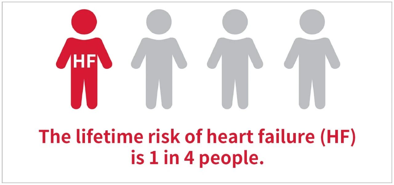 新品上市 | 心衰診斷雙保障——聚焦心衰精準(zhǔn)診斷，我們從未止步！